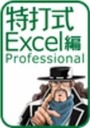 特打式Excel編Professional.jpg
